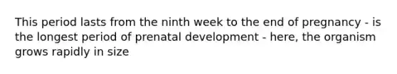 This period lasts from the ninth week to the end of pregnancy - is the longest period of prenatal development - here, the organism grows rapidly in size