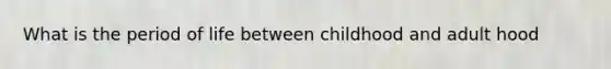 What is the period of life between childhood and adult hood