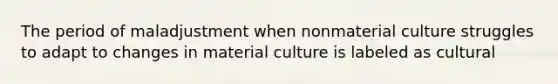 The period of maladjustment when nonmaterial culture struggles to adapt to changes in material culture is labeled as cultural