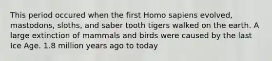 This period occured when the first Homo sapiens evolved, mastodons, sloths, and saber tooth tigers walked on the earth. A large extinction of mammals and birds were caused by the last Ice Age. 1.8 million years ago to today