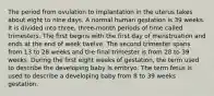 The period from ovulation to implantation in the uterus takes about eight to nine days. A normal human gestation is 39 weeks. It is divided into three, three-month periods of time called trimesters. The first begins with the first day of menstruation and ends at the end of week twelve. The second trimester spans from 13 to 28 weeks and the final trimester is from 28 to 39 weeks. During the first eight weeks of gestation, the term used to describe the developing baby is embryo. The term fetus is used to describe a developing baby from 8 to 39 weeks gestation.