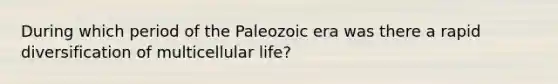 During which period of the Paleozoic era was there a rapid diversification of multicellular life?