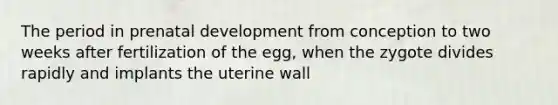 The period in prenatal development from conception to two weeks after fertilization of the egg, when the zygote divides rapidly and implants the uterine wall