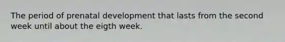 The period of prenatal development that lasts from the second week until about the eigth week.