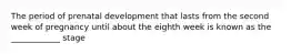 The period of prenatal development that lasts from the second week of pregnancy until about the eighth week is known as the ____________ stage