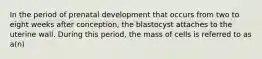 In the period of prenatal development that occurs from two to eight weeks after conception, the blastocyst attaches to the uterine wall. During this period, the mass of cells is referred to as a(n)