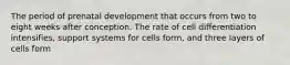 The period of prenatal development that occurs from two to eight weeks after conception. The rate of cell differentiation intensifies, support systems for cells form, and three layers of cells form