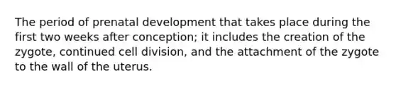 The period of prenatal development that takes place during the first two weeks after conception; it includes the creation of the zygote, continued cell division, and the attachment of the zygote to the wall of the uterus.