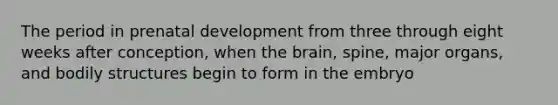 The period in prenatal development from three through eight weeks after conception, when the brain, spine, major organs, and bodily structures begin to form in the embryo