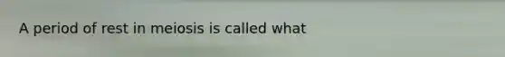 A period of rest in meiosis is called what