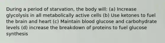 During a period of starvation, the body will: (a) Increase glycolysis in all metabolically active cells (b) Use ketones to fuel the brain and heart (c) Maintain blood glucose and carbohydrate levels (d) increase the breakdown of proteins to fuel glucose synthesis