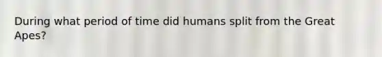 During what period of time did humans split from the Great Apes?