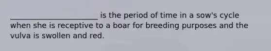 _______________________ is the period of time in a sow's cycle when she is receptive to a boar for breeding purposes and the vulva is swollen and red.