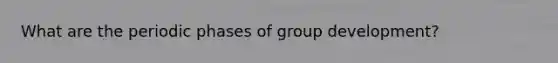 What are the periodic phases of group development?