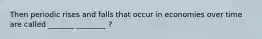Then periodic rises and falls that occur in economies over time are called _______ ________ ?