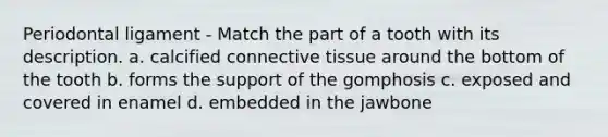 Periodontal ligament - Match the part of a tooth with its description. a. calcified connective tissue around the bottom of the tooth b. forms the support of the gomphosis c. exposed and covered in enamel d. embedded in the jawbone