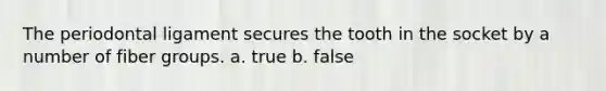 The periodontal ligament secures the tooth in the socket by a number of fiber groups. a. true b. false