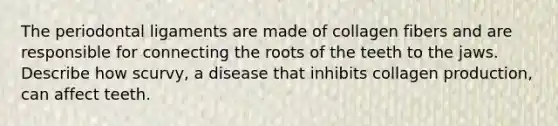 The periodontal ligaments are made of collagen fibers and are responsible for connecting the roots of the teeth to the jaws. Describe how scurvy, a disease that inhibits collagen production, can affect teeth.