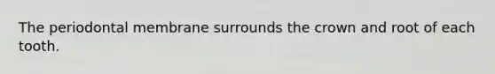 The periodontal membrane surrounds the crown and root of each tooth.