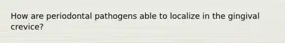 How are periodontal pathogens able to localize in the gingival crevice?