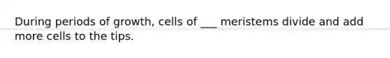 During periods of growth, cells of ___ meristems divide and add more cells to the tips.