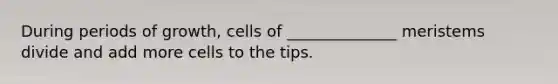 During periods of growth, cells of ______________ meristems divide and add more cells to the tips.