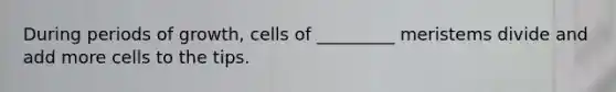 During periods of growth, cells of _________ meristems divide and add more cells to the tips.