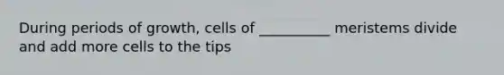 During periods of growth, cells of __________ meristems divide and add more cells to the tips