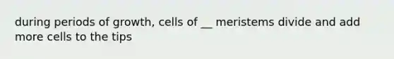 during periods of growth, cells of __ meristems divide and add more cells to the tips