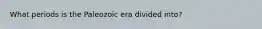 What periods is the Paleozoic era divided into?