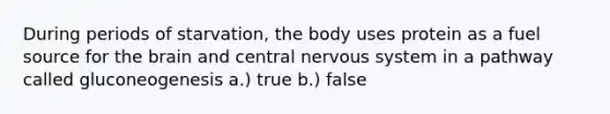 During periods of starvation, the body uses protein as a fuel source for the brain and central nervous system in a pathway called gluconeogenesis a.) true b.) false