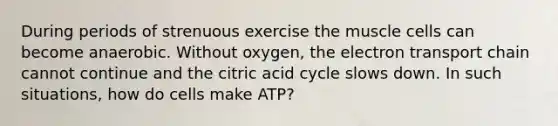 During periods of strenuous exercise the muscle cells can become anaerobic. Without oxygen, the electron transport chain cannot continue and the citric acid cycle slows down. In such situations, how do cells make ATP?