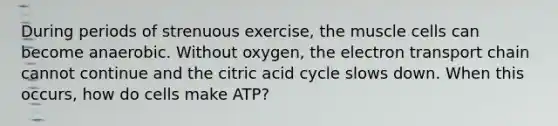 During periods of strenuous exercise, the muscle cells can become anaerobic. Without oxygen, <a href='https://www.questionai.com/knowledge/k57oGBr0HP-the-electron-transport-chain' class='anchor-knowledge'>the electron transport chain</a> cannot continue and the citric acid cycle slows down. When this occurs, how do cells make ATP?