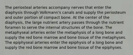 The periosteal arteries accompany nerves that enter the diaphysis through Volkmann's canals and supply the periosteum and outer portion of compact bone. At the center of the diaphysis, the large nutrient artery passes through the nutrient foramen to serve the internal structures of the bone. The metaphyseal arteries enter the metaphysis of a long bone and supply the red bone marrow and bone tissue of the metaphyses. The epiphyseal arteries enter the epiphysis of a long bone and supply the red bone marrow and bone tissue of the epiphyses.