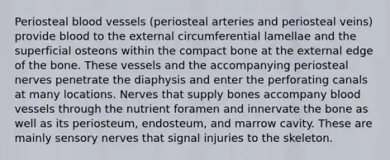 Periosteal blood vessels (periosteal arteries and periosteal veins) provide blood to the external circumferential lamellae and the superficial osteons within the compact bone at the external edge of the bone. These vessels and the accompanying periosteal nerves penetrate the diaphysis and enter the perforating canals at many locations. Nerves that supply bones accompany blood vessels through the nutrient foramen and innervate the bone as well as its periosteum, endosteum, and marrow cavity. These are mainly sensory nerves that signal injuries to the skeleton.