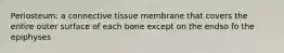 Periosteum: a connective tissue membrane that covers the entire outer surface of each bone except on the endso fo the epiphyses