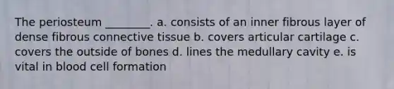 The periosteum ________. a. consists of an inner fibrous layer of dense fibrous connective tissue b. covers articular cartilage c. covers the outside of bones d. lines the medullary cavity e. is vital in blood cell formation