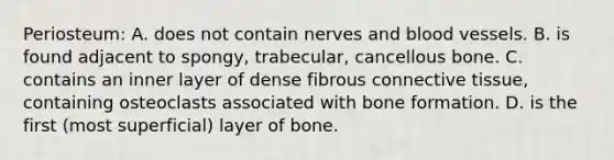 Periosteum: A. does not contain nerves and blood vessels. B. is found adjacent to spongy, trabecular, cancellous bone. C. contains an inner layer of dense fibrous connective tissue, containing osteoclasts associated with bone formation. D. is the first (most superficial) layer of bone.