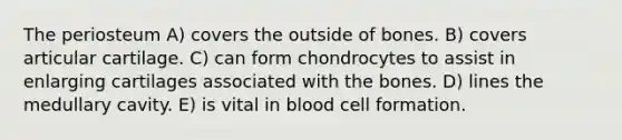 The periosteum A) covers the outside of bones. B) covers articular cartilage. C) can form chondrocytes to assist in enlarging cartilages associated with the bones. D) lines the medullary cavity. E) is vital in blood cell formation.