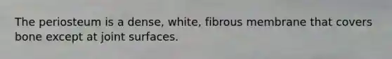 The periosteum is a dense, white, fibrous membrane that covers bone except at joint surfaces.