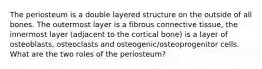 The periosteum is a double layered structure on the outside of all bones. The outermost layer is a fibrous connective tissue, the innermost layer (adjacent to the cortical bone) is a layer of osteoblasts, osteoclasts and osteogenic/osteoprogenitor cells. What are the two roles of the periosteum?