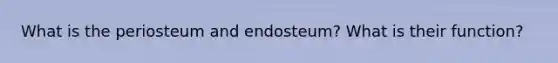 What is the periosteum and endosteum? What is their function?