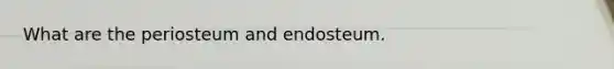 What are the periosteum and endosteum.