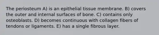 The periosteum A) is an epithelial tissue membrane. B) covers the outer and internal surfaces of bone. C) contains only osteoblasts. D) becomes continuous with collagen fibers of tendons or ligaments. E) has a single fibrous layer.