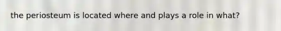 the periosteum is located where and plays a role in what?