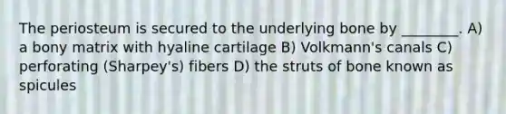 The periosteum is secured to the underlying bone by ________. A) a bony matrix with hyaline cartilage B) Volkmann's canals C) perforating (Sharpey's) fibers D) the struts of bone known as spicules