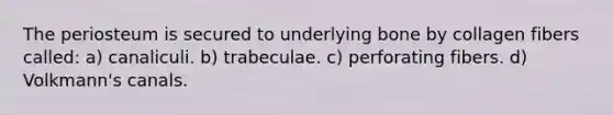 The periosteum is secured to underlying bone by collagen fibers called: a) canaliculi. b) trabeculae. c) perforating fibers. d) Volkmann's canals.