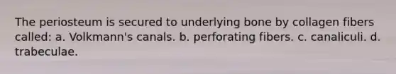 The periosteum is secured to underlying bone by collagen fibers called: a. Volkmann's canals. b. perforating fibers. c. canaliculi. d. trabeculae.