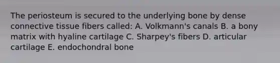 The periosteum is secured to the underlying bone by dense <a href='https://www.questionai.com/knowledge/kYDr0DHyc8-connective-tissue' class='anchor-knowledge'>connective tissue</a> fibers called: A. Volkmann's canals B. a bony matrix with hyaline cartilage C. Sharpey's fibers D. articular cartilage E. endochondral bone