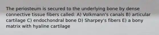 The periosteum is secured to the underlying bone by dense connective tissue fibers called: A) Volkmann's canals B) articular cartilage C) endochondral bone D) Sharpey's fibers E) a bony matrix with hyaline cartilage